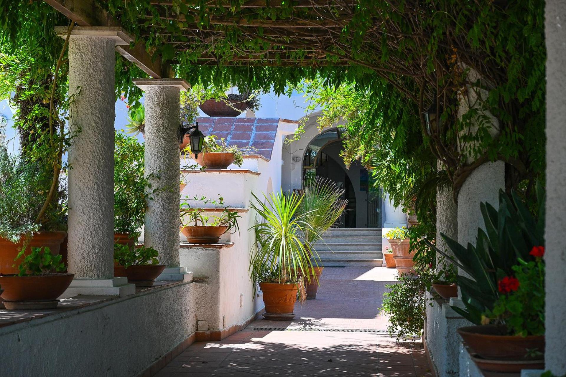 ホテル Av Club Terme Colella Forio di Ischia エクステリア 写真