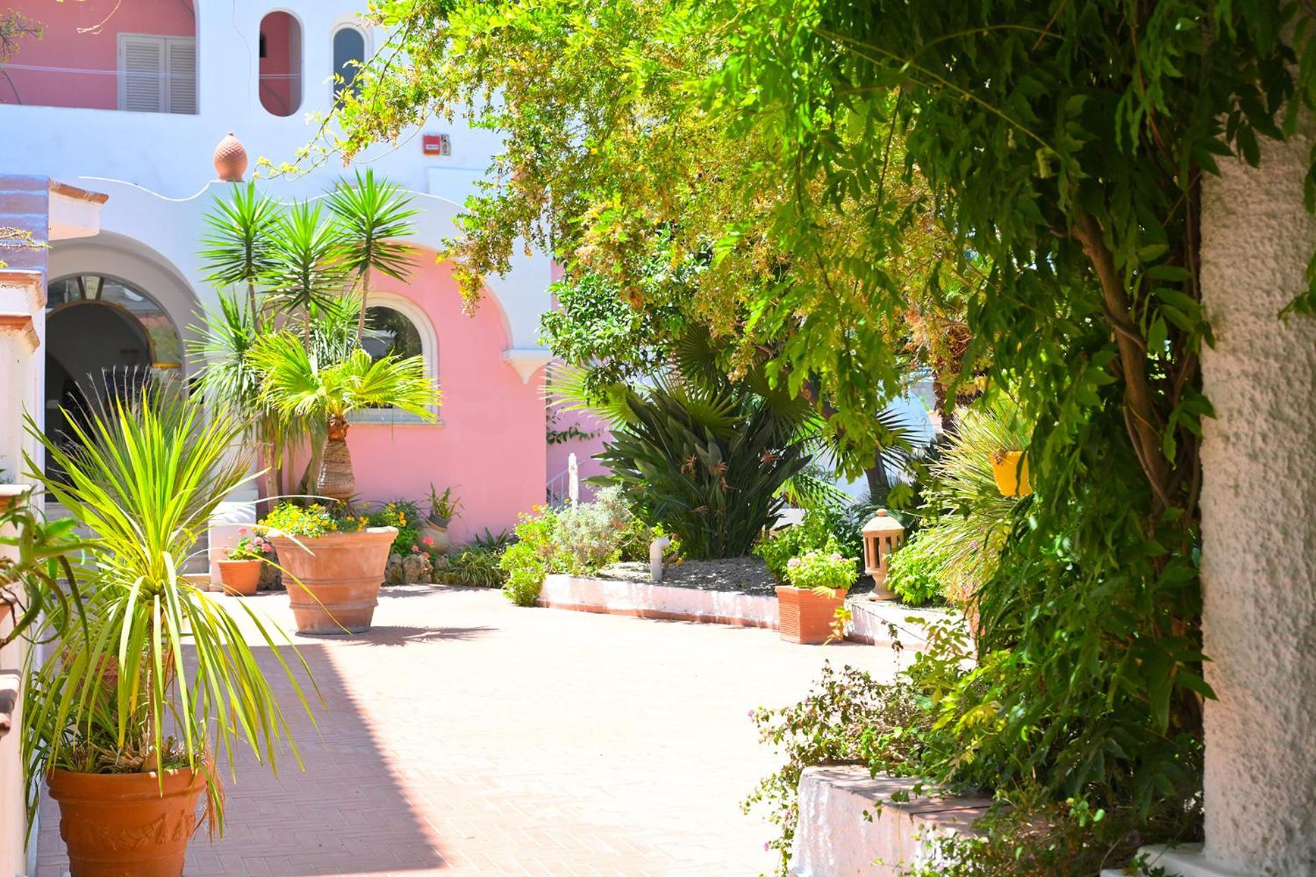 ホテル Av Club Terme Colella Forio di Ischia エクステリア 写真